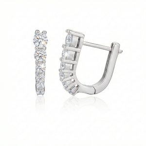 עגיל חישוק אורין - כסף-ZSI513-1